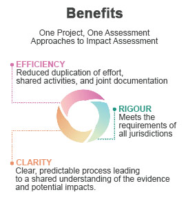 Benefits of the “one project, one assessment” approach